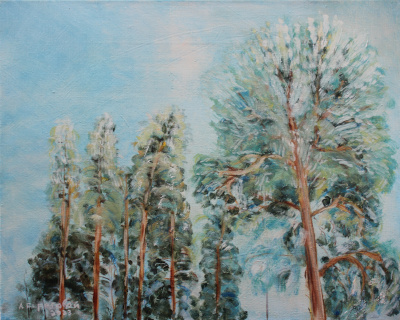 Картина "Верхушки сосен в зимнем лесу", автор Алексей Береговой